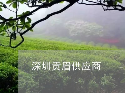 深圳贡眉供应商/2023060246259