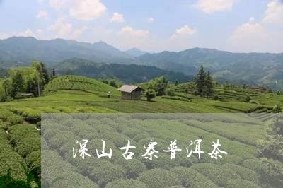 深山古寨普洱茶/2023102634917