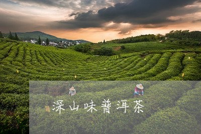 深山味普洱茶/2023042855960