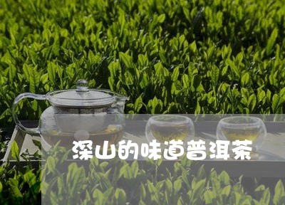 深山的味道普洱茶/2023101696059