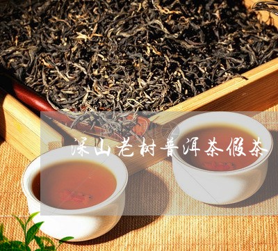 深山老树普洱茶假茶/2023091574827