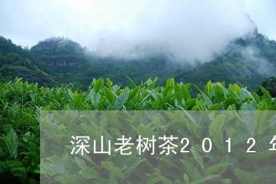 深山老树茶2012年/2023092127271