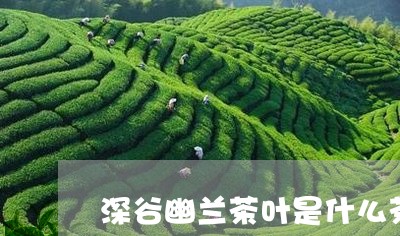 深谷幽兰茶叶是什么茶/2023092218362