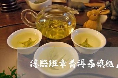 淳熙班章普洱茶旗舰店/2023092537948