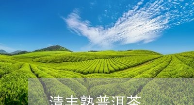 清丰熟普洱茶/2023042864684