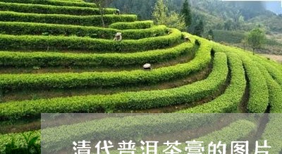 清代普洱茶膏的图片/2023071182936