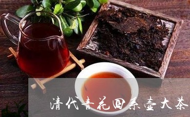 清代青花四系壶大茶壶价格/2023051141706