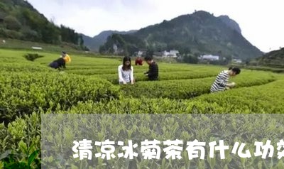 清凉冰菊茶有什么功效/2023071317381