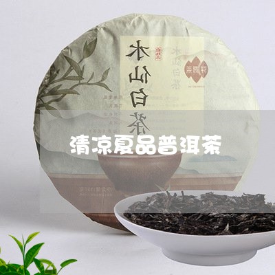 清凉夏品普洱茶/2023081835030