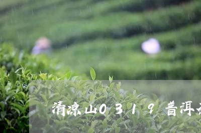 清凉山0319普洱茶/2023080157590