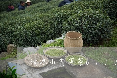 清凉山普洱茶0119/2023112737170