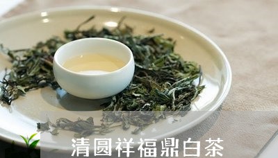 清圆祥福鼎白茶/2023082613949