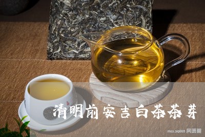 清明前安吉白茶茶芽/2023072112946