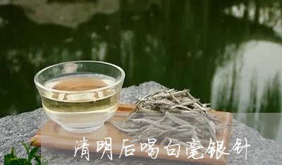 清明后喝白毫银针/2023090723869