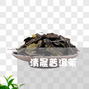 清晨普洱茶/2023090559614