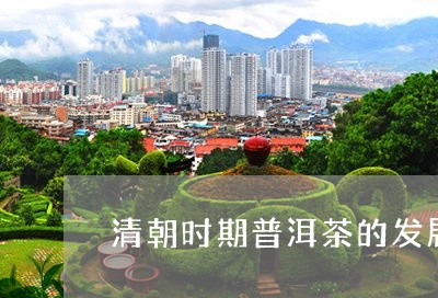 清朝时期普洱茶的发展/2023100813939