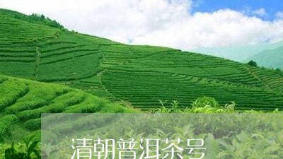 清朝普洱茶号/2023042677546