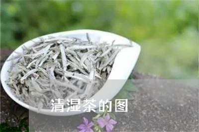 清湿茶的图/2023090268494