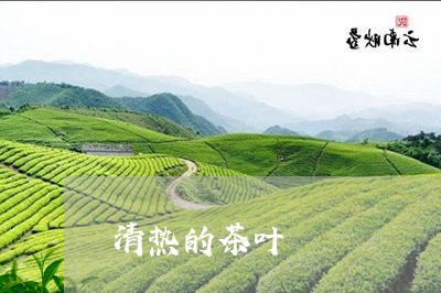 清热的茶叶/2023041789970