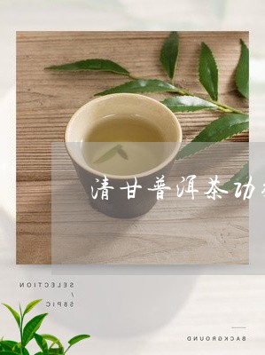 清甘普洱茶功效和作用及禁忌/2023121876258