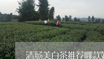 清肠美白茶推荐哪款好用/2023102749151