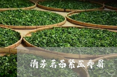 清芳茗茶紧压寿眉/2023090873927