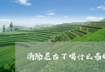 清除尼古丁喝什么茶好/2023071306958