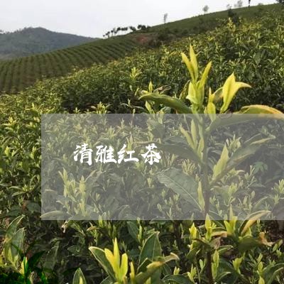 清雅红茶/2023090193915