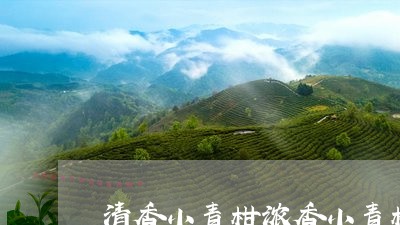 清香小青柑浓香小青柑/2023061030685