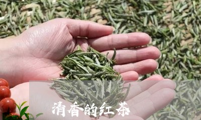 清香的红茶/2023090234059