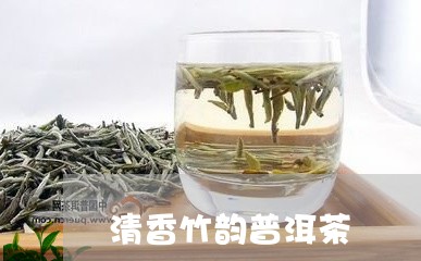 清香竹韵普洱茶/2023120341681