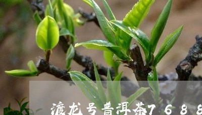 渡龙号普洱茶7688/2023100691716