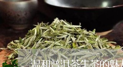 温和普洱茶生茶的魅力/2023100772734