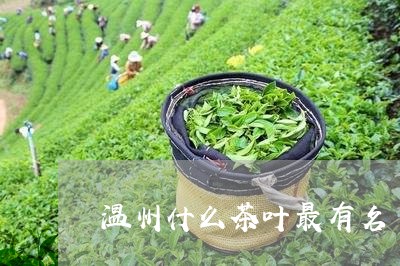 温州什么茶叶最有名/2023042653848