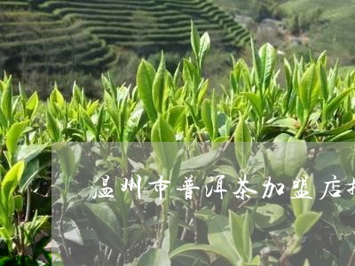 温州市普洱茶加盟店排名/2023121841492