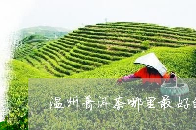 温州普洱茶哪里最好的产地/2023121887289