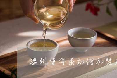 温州普洱茶如何加盟店的/2023121842894