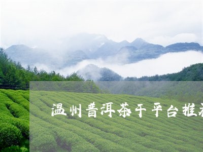 温州普洱茶干平台推荐/2023080237371