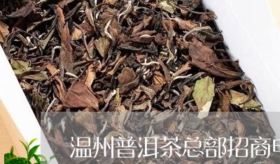 温州普洱茶总部招商电话/2023112866158