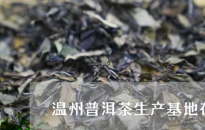 温州普洱茶生产基地在那里/2023121868495