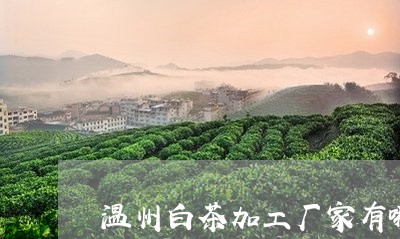 温州白茶加工厂家有哪些/2023102754737