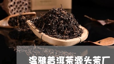 温雅普洱茶源头茶厂/2023112604140