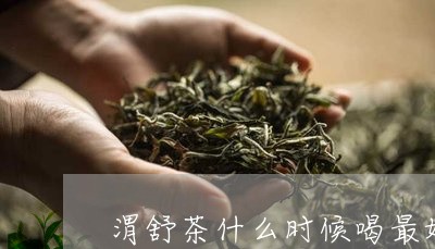 渭舒茶什么时候喝最好/2023071483819