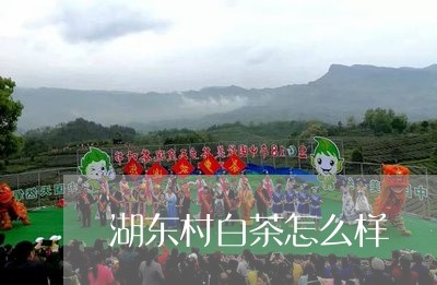 湖东村白茶怎么样/2023062245057