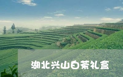 湖北兴山白茶礼盒/2023062266482