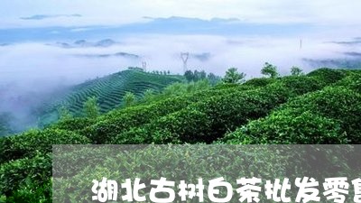 湖北古树白茶批发零售/2023100301824