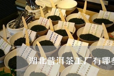 湖北普洱茶工厂有哪些/2023062957472