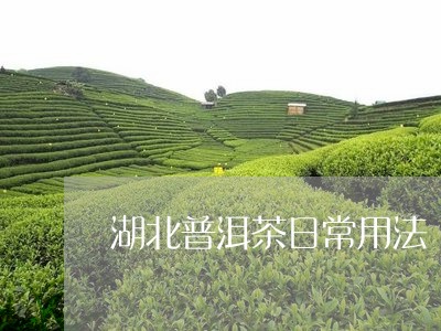 湖北普洱茶日常用法/2023121896028