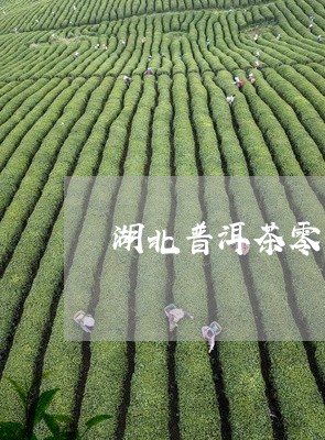 湖北普洱茶零售批发在哪里/2023121822514