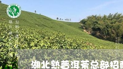 湖北熟普洱茶总部招商/2023092578402